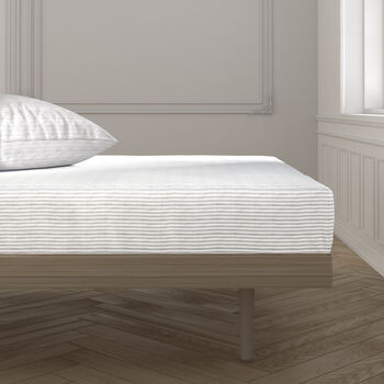 BAJERA SATEN CUTI 100%ALG IRIS LUXURY host